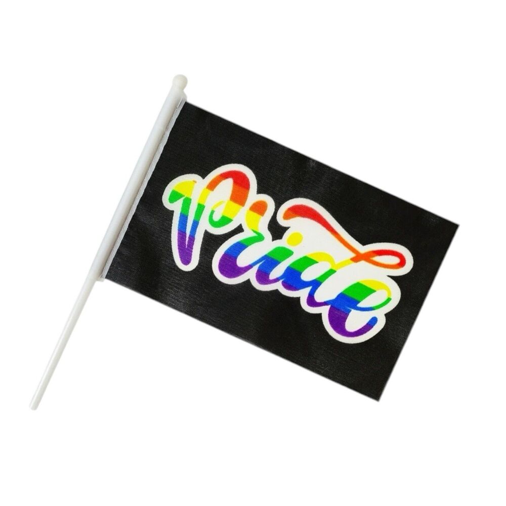 Pride Spell Out Rainbow Flag 12x18 Inch Black Flag Plastic Stick LGBTQIA+ (2)